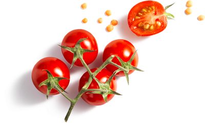 tomaat-2