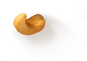 cashew-1